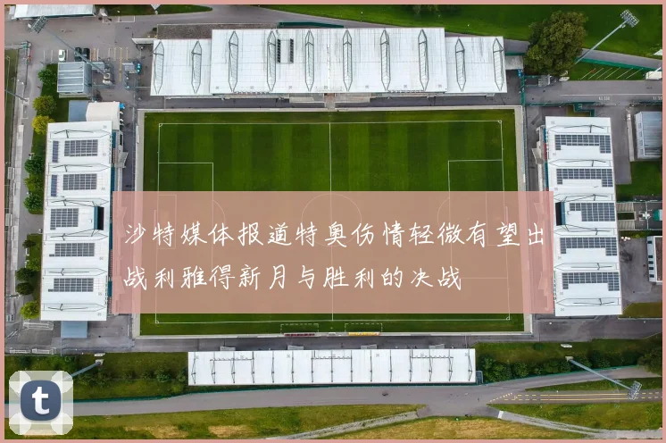 沙特媒体报道特奥伤情轻微有望出战利雅得新月与胜利的决战